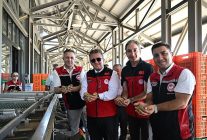 turkiyede sezonun ilk zeytin hasadi dikili bademlide gerceklestirildi