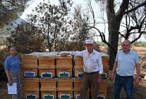 yanginda kovanlari zarar goren ariciya buyuksehirden destek