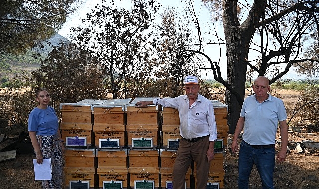 yanginda kovanlari zarar goren ariciya buyuksehirden destek