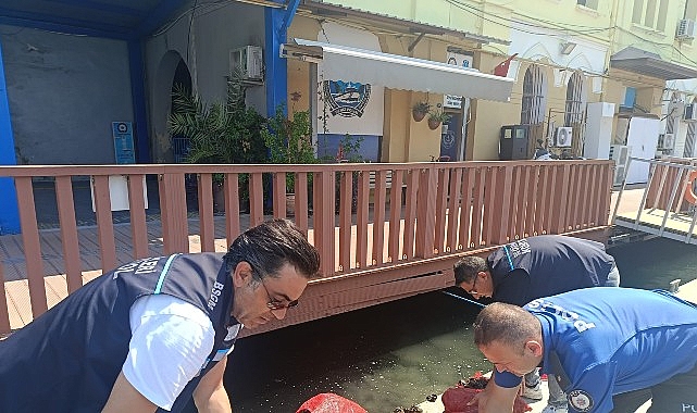 yasa disi kara midye avciligina gecit yok