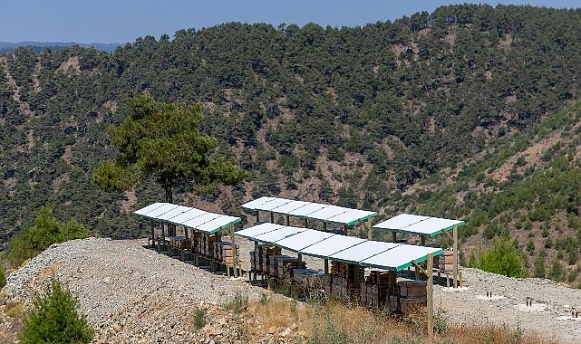 Yenişehir’de 3 Bin 600 dekarlık arı cenneti 1 yenisehirde 3 bin 600 dekarlik ari cenneti