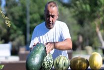 yesil alanlar 103 etkinlikle kentin bulusma noktasi oldu