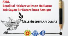 1788660556 616 Idrar Yolu Enfeksiyonuna Dogal Cozum Cranberry