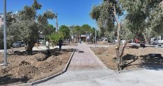 baskan hatice gencayin secim vaatleri arasinda yer alan zeytin park didimin yeni yasam alanlarindan biri olmaya hazirlaniyor