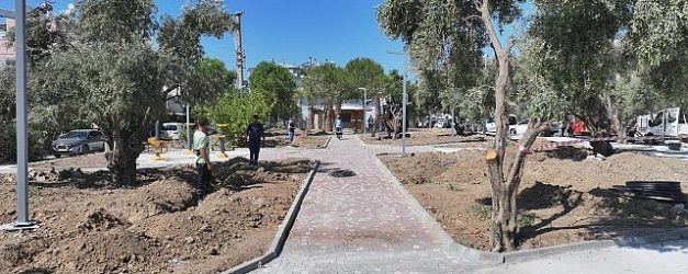 baskan hatice gencayin secim vaatleri arasinda yer alan zeytin park didimin yeni yasam alanlarindan biri olmaya hazirlaniyor