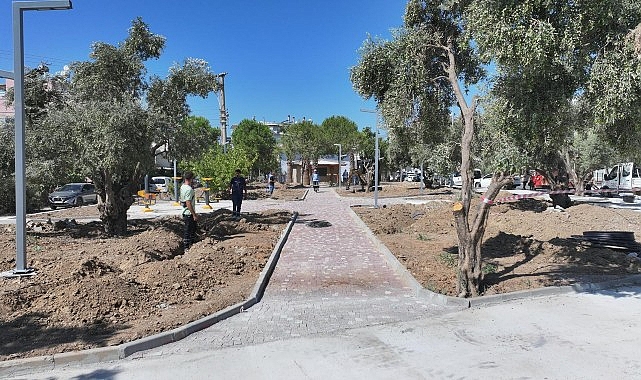 baskan hatice gencayin secim vaatleri arasinda yer alan zeytin park didimin yeni yasam alanlarindan biri olmaya hazirlaniyor