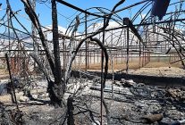 buyuksehir kasta yanginzedelerin yaninda