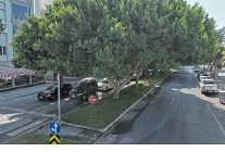 buyuksehirin hedefi daha az su ile daha fazla yesil alan
