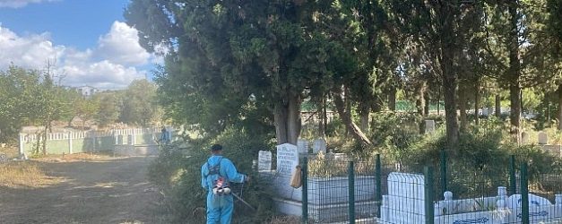 izmitte mezarliklar buyuksehir eliyle guzellesiyor