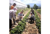 kadinlar ve gencler topraga deger katiyor