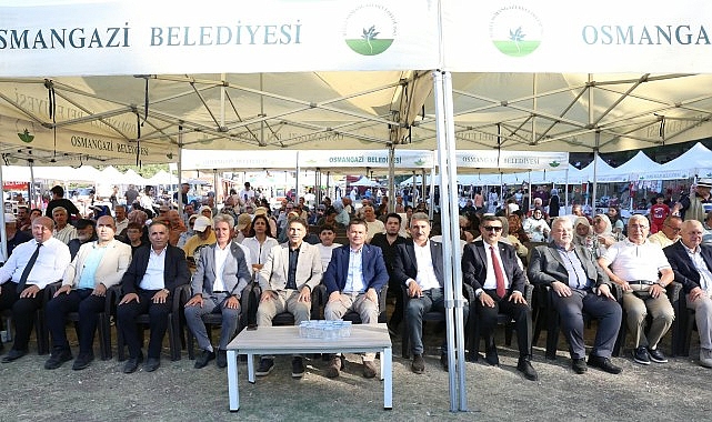 osmangazinin siyah inciri festivalle bulustu