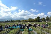 tabipte uretimden markalasmaya uzanan hasat