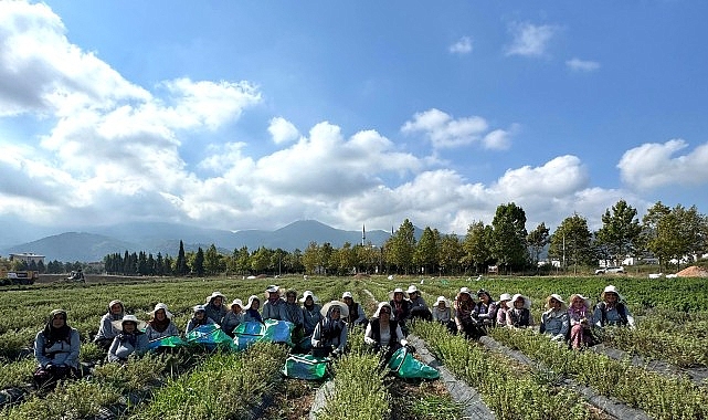 tabipte uretimden markalasmaya uzanan hasat